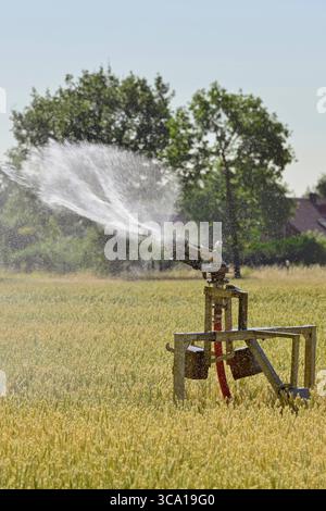 Wassermangel... Hochsommer *Nordrhein-Westfalen*, Regnerwagen wässert an einem heißen Sommertag ein Getreidefeld, Feldbewässung, heimische Natur, Trockenheit, Wasserverbrauch *** arroseur portatif pulvérisant de l'eau sur des terres agricoles pendant un été de sécheresse. Nordrhein-Westfalen Deutschland, Westeuropa Banque D'Images