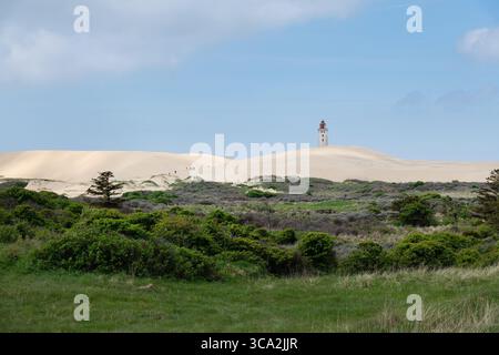 Phare Rubjerg Knude, Jütland, Danemark Banque D'Images