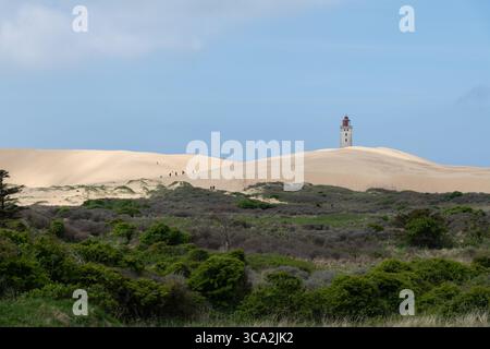 Phare Rubjerg Knude, Jütland, Danemark Banque D'Images