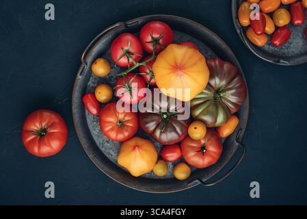 Assortiment de variétés de tomates mûres. Plateau en métal vintage de tomates colorées et tomates cerises sur fond noir, vue de dessus. Banque D'Images