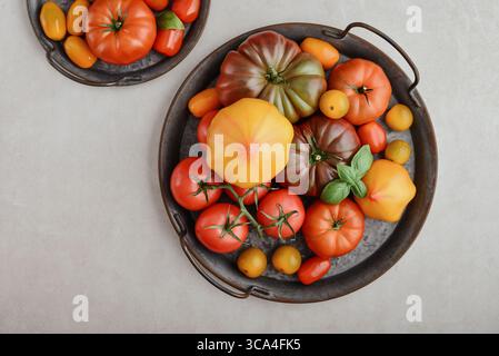 Assortiment de variétés de tomates mûres. Plateau en métal vintage de tomates colorées et tomates cerises sur fond clair, vue de dessus. Banque D'Images