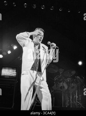 Fern Park, Floride, États-Unis : The CLASH - JOE STRUMMER - Orlando Jai Alai Fronton, 30 mars 1984 (image crédit : © Christopher Helton via ZUMA Press Wire) Banque D'Images