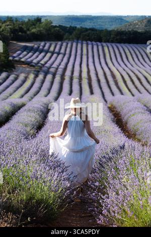 Figure féminine en robe blanche se promène à travers les champs de lavande luxuriants, entouré de fleurs en fleurs et de verdure, capturant l'essence de la tranquillité A. Banque D'Images