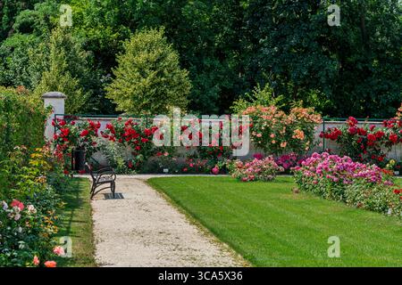 Roseraie du château d'Esterhazy dans la ville de Ferton, dans la campagne ouest de la Hongrie, Europe. Banque D'Images