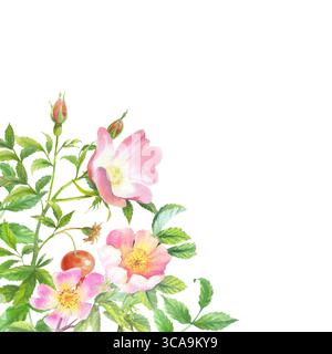 Cadre d'angle de berge. Oeuvre d'art à l'aquarelle faite à la main. Pour la conception d'emballage, les cartes, la couverture, les impressions, les étiquettes de produits et le tissu. Banque D'Images