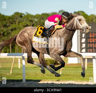 11 mars 2023, Tampa Bay, Floride, États-Unis : mars, 2023 : Tapit Trice #6 monté par le jockey Luis Saez remporte le Tampa Bay Derby (3e année) aux Tampa Bay Downs à Tampa, Floride, le 11 mars 2023. Carson Blevins/Eclipse Sportswire/CSM (crédit image : © Carson Blevins/Eclipse Sportswir/CSM via ZUMA Press Wire) Banque D'Images