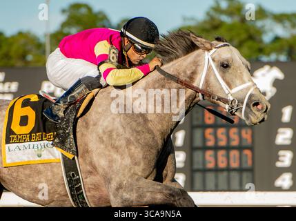 11 mars 2023, Tampa Bay, Floride, États-Unis : mars, 2023 : Tapit Trice #6 monté par le jockey Luis Saez remporte le Tampa Bay Derby (3e année) aux Tampa Bay Downs à Tampa, Floride, le 11 mars 2023. Carson Blevins/Eclipse Sportswire/CSM (crédit image : © Carson Blevins/Eclipse Sportswir/CSM via ZUMA Press Wire) Banque D'Images