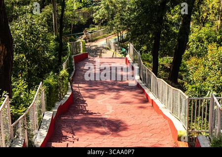 Lumière du soleil sur un sentier d'escaliers rouges dans le paysage vert Banque D'Images