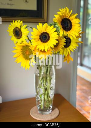 Beaux tournesols dans un vase en cristal Banque D'Images