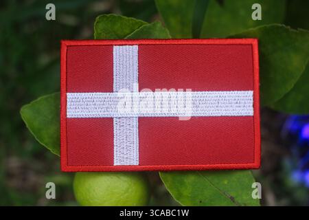 Drapeau danois brodé écologique sur le citronnier avec des citrons verts, lumière naturelle du soleil, symbole de durabilité, jour de la Terre et sensibilisation au changement climatique. Banque D'Images