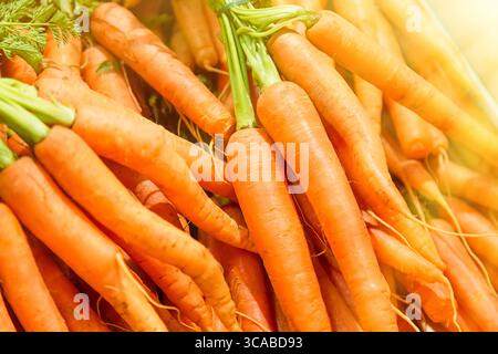 Carottes fraîches au marché central de Budapest, Hongrie. Image avec mise au point sélective. Banque D'Images