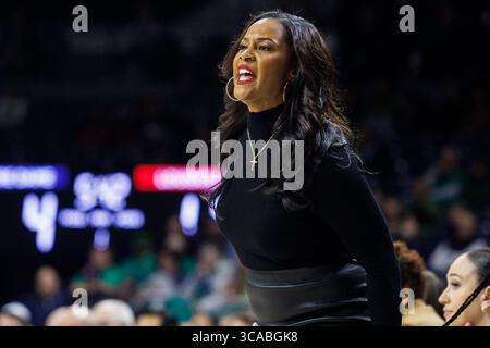 16 février 2023 : L'entraîneur-chef de notre Dame Niele Ivey lors d'un match de basket-ball féminin de la NCAA entre les Cardinals de Louisville et les Fighting Irish de notre Dame au Pavillon Purcell au Joyce Center à South Bend, Indiana. Notre Dame bat Louisville 78-76 en prolongation. John Mersits/CSM. (Crédit image : © John Mersits/CSM via ZUMA Press Wire) Banque D'Images