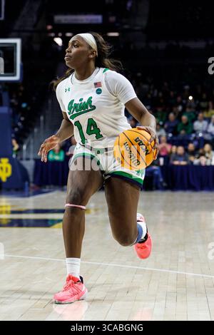 16 février 2023 : le garde de notre Dame, le KK Bransford (14 ans), se dirige vers le panier lors d'un match de basket-ball féminin de la NCAA entre les Cardinals de Louisville et les Fighting Irish de notre Dame au Pavillon Purcell au Joyce Center à South Bend, Indiana. Notre Dame bat Louisville 78-76 en prolongation. John Mersits/CSM. (Crédit image : © John Mersits/CSM via ZUMA Press Wire) Banque D'Images