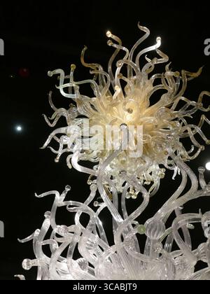 SEATTLE - APR 25, 2025 - délicate œuvre d'art en verre brillante avec un centre luminescent, des vrilles complexes se propageant sur un fond ombragé, révélant scu Banque D'Images