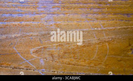 Texture en bois détaillée avec surface rayée dans des teintes rustiques Banque D'Images
