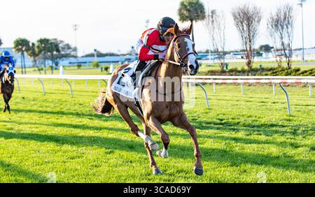 18 février 2023, Nouvelle-Orléans, LOUISIANE, États-Unis : 18 février, 2023 : Two Emmy n°3 monté par James Graham remporte les Fair Grounds Stakes (Grade 3) au Fair Grounds Race course and Slots à la Nouvelle-Orléans, Louisiane, le 18 février 2023. Ben Breland/Eclipse Sportswire/CSM (crédit image : © Ben Breland/CSM via ZUMA Press Wire) Banque D'Images