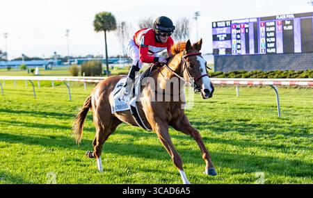 18 février 2023, Nouvelle-Orléans, LOUISIANE, États-Unis : 18 février, 2023 : Two Emmy n°3 monté par James Graham remporte les Fair Grounds Stakes (Grade 3) au Fair Grounds Race course and Slots à la Nouvelle-Orléans, Louisiane, le 18 février 2023. Ben Breland/Eclipse Sportswire/CSM (crédit image : © Ben Breland/CSM via ZUMA Press Wire) Banque D'Images