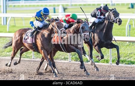 18 février 2023, Nouvelle-Orléans, LOUISIANE, États-Unis : 18 février, 2023 : Pioneer of Medina #7 monté par Luis Saez remporte les Mineshaft Stakes (Grade 3) au Fair Grounds Race course and Slots à la Nouvelle-Orléans, Louisiane le 18 février 2023. Ben Breland/Eclipse Sportswire/CSM (crédit image : © Ben Breland/CSM via ZUMA Press Wire) Banque D'Images
