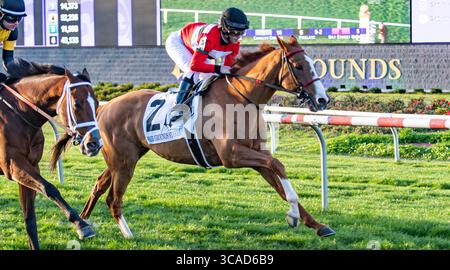 18 février 2023, Nouvelle-Orléans, LOUISIANE, États-Unis : 18 février, 2023 : Two Emmy n°3 monté par James Graham remporte les Fair Grounds Stakes (Grade 3) au Fair Grounds Race course and Slots à la Nouvelle-Orléans, Louisiane, le 18 février 2023. Ben Breland/Eclipse Sportswire/CSM (crédit image : © Ben Breland/CSM via ZUMA Press Wire) Banque D'Images