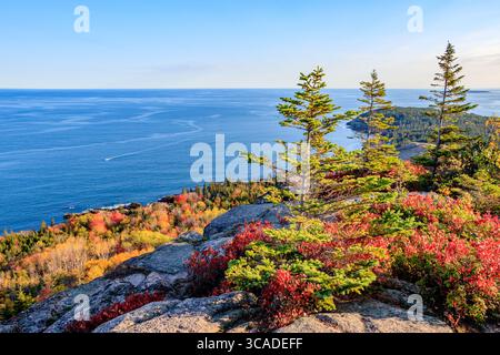 Une vue de haut en bas depuis le sommet d'une montagne dans le parc national Acadia, mettant en valeur le feuillage d'automne brillant au premier plan avec l'océan Atlantique et Banque D'Images