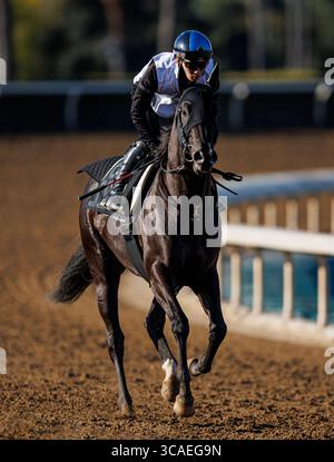 6 avril 2023, Arcadia, CA, États-Unis : héros Mandarin avec Kazushi Kimura à bord des œuvres de la porte de départ comme sa dernière préparation pour le Derby de Santa Anita à Santa Anita Park à Arcadia, Californie, le 06 avril 2023. Alex Evers/Eclipse Sportswire/CSM (crédit image : © Alex Evers/CSM via ZUMA Press Wire) Banque D'Images