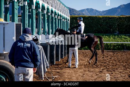 6 avril 2023, Arcadia, CA, États-Unis : héros Mandarin avec Kazushi Kimura à bord des œuvres de la porte de départ comme sa dernière préparation pour le Derby de Santa Anita à Santa Anita Park à Arcadia, Californie, le 06 avril 2023. Alex Evers/Eclipse Sportswire/CSM (crédit image : © Alex Evers/CSM via ZUMA Press Wire) Banque D'Images