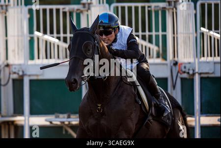 6 avril 2023, Arcadia, CA, États-Unis : héros Mandarin avec Kazushi Kimura à bord des œuvres de la porte de départ comme sa dernière préparation pour le Derby de Santa Anita à Santa Anita Park à Arcadia, Californie, le 06 avril 2023. Alex Evers/Eclipse Sportswire/CSM (crédit image : © Alex Evers/CSM via ZUMA Press Wire) Banque D'Images