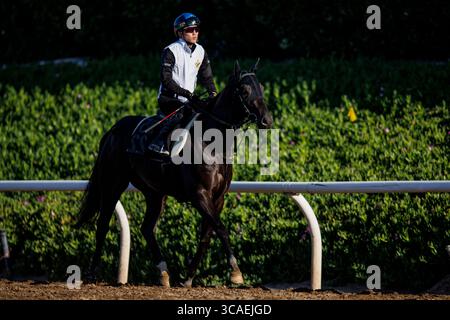 6 avril 2023, Arcadia, CA, États-Unis : héros Mandarin avec Kazushi Kimura à bord des œuvres de la porte de départ comme sa dernière préparation pour le Derby de Santa Anita à Santa Anita Park à Arcadia, Californie, le 06 avril 2023. Alex Evers/Eclipse Sportswire/CSM (crédit image : © Alex Evers/CSM via ZUMA Press Wire) Banque D'Images