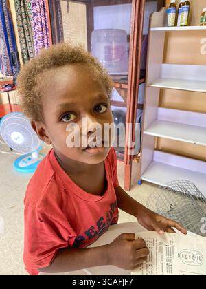 8 mars 2023, Luganvile, Vanuatu : le kava est une boisson traditionnelle et culturellement importante au Vanuatu. Il est fabriqué à partir des racines de la plante kava, scientifiquement connue sous le nom de Piper methysticum. Les racines sont broyées en une poudre fine, qui est ensuite mélangée avec de l'eau pour créer une boisson boueuse et terreuse. Le kava est consommé depuis des siècles au Vanuatu et est profondément lié aux aspects sociaux, cérémoniels et médicinaux de la culture locale. Il est souvent partagé entre amis et en famille lors de rassemblements ou de cérémonies officielles, favorisant la détente, le lien social et un sentiment de communauté. Kava est kno Banque D'Images