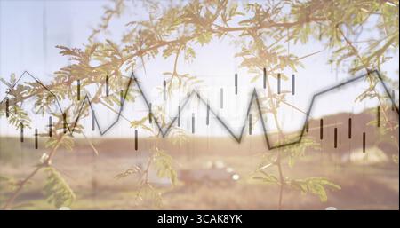 Montrant la branche d'arbre avec de petites feuilles sur les terres agricoles au coucher du soleil, avec camionnette, recouvrement financier Banque D'Images