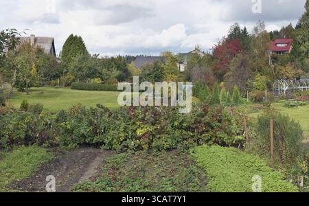 Paysage panoramique du village d'automne européen habituel. Sur la photo il y a des jardins, des clôtures, des pelouses et des toits. Collage de plusieurs clichés d'octobre Banque D'Images