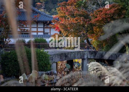Heron se dresse sur un pont de pierre à Kyoto entouré de feuillage d'automne, avec une architecture japonaise traditionnelle et des feuilles de lotus de fin de saison dans le gard serein Banque D'Images