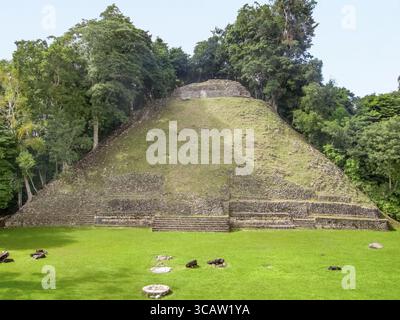 Ancien site archéologique maya nommé Caracol situé au Belize en Amérique centrale Banque D'Images