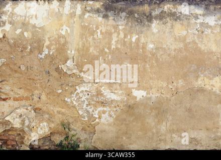Le grand fragment de mur jaune vieilli fissuré détruit en plâtre comme fond vintage Banque D'Images