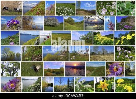 Printemps en Russie collage à partir de paysages naturels Banque D'Images