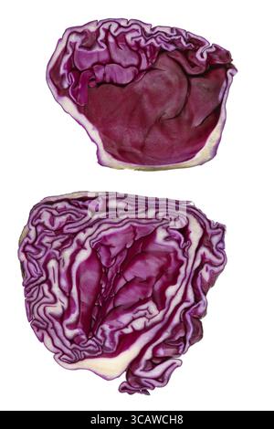 Section transversale du chou rouge comme un cerveau humain concept. Isolé sur blanc macro studio Banque D'Images