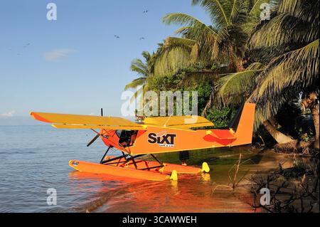 Hydroplane à Sainte-Rose, basse-Terre, Guadeloupe, région d'outre-mer de la France, Iles sous le vent, petites Antilles, Caraïbes Banque D'Images