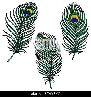 Une illustration vectorielle avec trois plumes de paon aux détails complexes, chacune présentant des teintes vertes éclatantes, un motif d'oeil saisissant et un réaliste Illustration de Vecteur