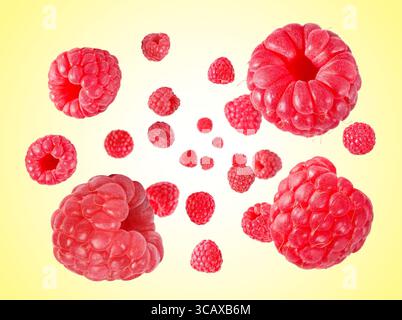 Framboises fraîches tourbillonnant dans l'air sur fond dégradé jaune Banque D'Images