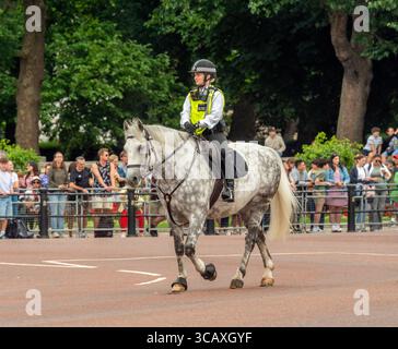 Un policier monté patrouille sur un cheval gris dapple, gérant des foules de touristes attendant une cérémonie royale sur le Mall, Londres, Royaume-Uni. Banque D'Images