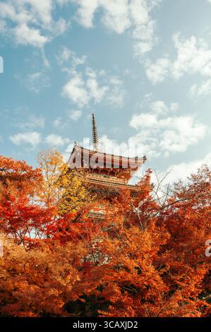 La pagode Sanjunoto du temple Kiyomizu-dera s'élève de derrière des arbres à feuilles d'or et de bronze à l'automne (automne), Kyoto, Japon Banque D'Images