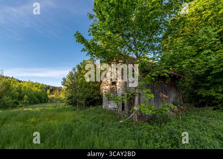 Bâtiment abandonné de ferme piscicole en bois envahi par des arbres verts luxuriants et de l'herbe sous un ciel bleu clair Banque D'Images