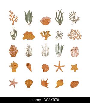 Coquillages, plantes marines et étoiles de mer isolés sur fond blanc. Illustration vectorielle de contour de récif corallien. Collection d'icônes linéaires de mollusques palourdes. Océan l Illustration de Vecteur