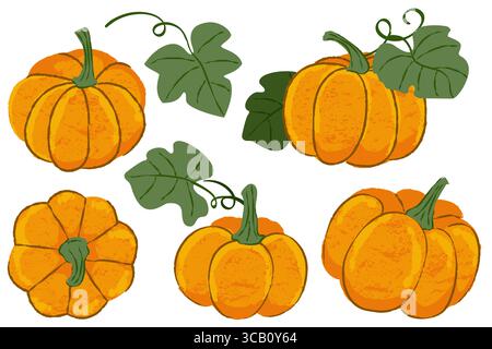 Ensemble vectoriel de citrouilles aquarelle. Illustration peinte à la main d'automne. Éléments de conception de légumes imprimés vintage de saison d'automne pour les bannières, affiches, Gree Illustration de Vecteur