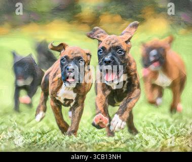 Photo numérique stylisée, groupe de chiots Boxer de neuf semaines se baladent et courent vers nous sur la pelouse Banque D'Images