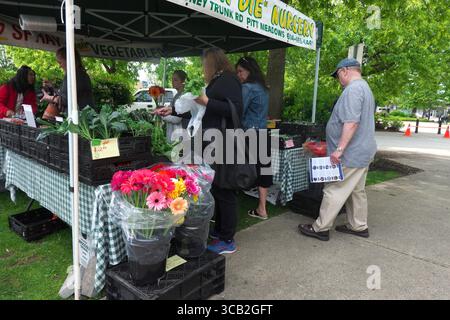 Les gens magasinent dans un marché agricole vendant des produits frais et des fleurs d'une pépinière locale - Maple Ridge, B. C., Canada. Banque D'Images