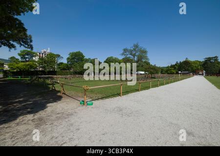 Une scène paisible de parc avec un sentier de gravier bordé de champs verts et d'arbres sous un ciel bleu vif. Sanctuaire Kamigamo-jinja, Kyoto, Japon Banque D'Images