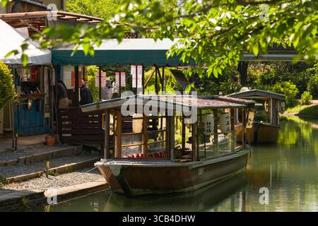 Pittoresque canal Jikkokubune avec bateau à fond plat Jikkokubune au printemps. Le feuillage vert encadre la scène paisible, capturant un aperçu authentique de loc Banque D'Images