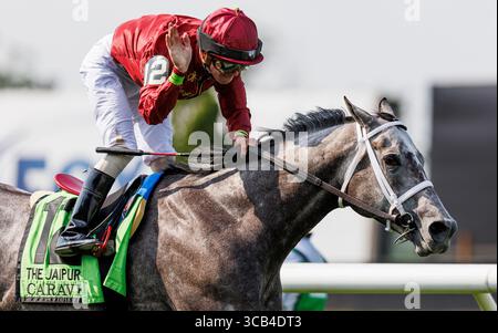 10 juin 2023, Elmont, New York, USA : Caravel avec Tyler Gaffalione remporte le Jaipurat Belmont Park le 10 juin 2023 à Elmont, New York. Evers/Eclipse Sportswire/CSM (crédit image : © Evers/CSM via ZUMA Press Wire) Banque D'Images