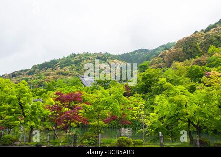 Un jardin japonais tranquille avec des arbres verts vibrants et un paysage serein au temple bouddhiste de Eikandō, avec des collines pittoresques, Kyoto, Japon Banque D'Images